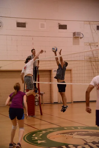 DSC_1865 (Large).JPG